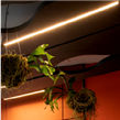 Linear Slim LE25 empotrable de techo lineal 120 cm.Led